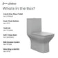 Carre One-Piece Square Toilet, Dual Flush - Matte Gray, Chrome Hardware