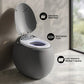Plaisir Smart Tankless Toilet with Bidet