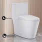 Dreux One-Piece Elongated Toilet