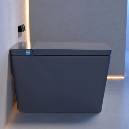Concorde One Piece Smart Toilet 1.28 GPF in Matte Gray with Heated Bidet, Air Drying, Night Light, Foot Sensor