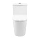Dreux One-Piece Elongated Toilet