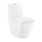 Brusque One-Piece Square Toilet