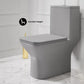 Carre One-Piece Square Toilet, Dual Flush - Matte Gray, Chrome Hardware