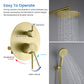 Circular Pressure Balanced 2-Function Shower System with Rough-In Valve