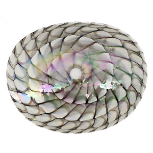 Ruvati 19 inch Murano Glass Art Vessel Seashell Decorative Pattern Bathroom Sink – Nautilus Brown – RVB3022