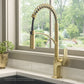 Ruvati Seneca Single Handle Pull Down Spring Kitchen Faucet with Pre-Rinse Sprayer