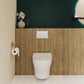 Ivy II Wall-Hung Elongated Toilet Bowl