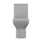 Carre One-Piece Square Toilet, Dual Flush - Matte Gray, Chrome Hardware