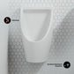 Voltaire Waterless Urinal