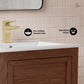 Unassembled Nadar Freestanding Bathroom Vanity 24 inches with white sink top