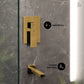 Concorde Tub and Shower Trim Kit with Shower Body