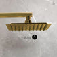 Concorde Tub and Shower Trim Kit with Shower Body