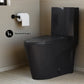 St. Tropez One-Piece Elongated Toilet