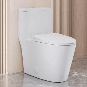 Dreux One-Piece Elongated Toilet