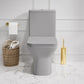 Carre One-Piece Square Toilet, Dual Flush - Matte Gray, Chrome Hardware