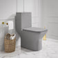 Carre One-Piece Square Toilet, Dual Flush - Matte Gray, Chrome Hardware