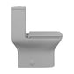 Carre One-Piece Square Toilet, Dual Flush - Matte Gray, Chrome Hardware